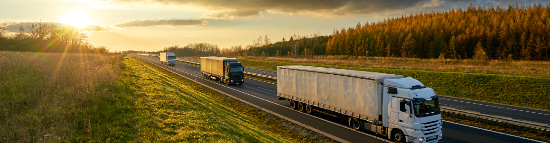 filtros-para-camiones-tractocamiones